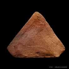 +บัตรสมาคม พระโพธิจักรหลวงพ่อลี