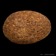 +บัตรสมาคม ลูกอมจินดามณี หลวงปู่เพิ่ม วัดกลางบางแก้ว