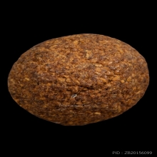 +บัตรสมาคม ลูกอมจินดามณี หลวงปู่เพิ่ม วัดกลางบางแก้ว