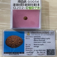 +บัตรสมาคม ลูกอมจินดามณี หลวงปู่เพิ่ม วัดกลางบางแก้ว