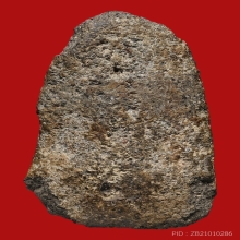 หลวงปู่ทวด เนื้อว่าน ปี 2497  พิมพ์ต้อ (ชำรุด)