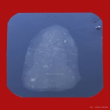 หลวงปู่ทวด เนื้อว่าน ปี 2497  พิมพ์ต้อ (ชำรุด)