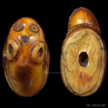 เสือ หลวงพ่อปาน คลองด่าน