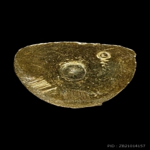 รูปหล่อหลวงปู่แหวน สุจิณโณ ปี 2516 รุ่นหน้าแหงน