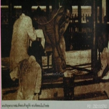 เหรียญปรกใบมะขาม พระพุทธชินสีห์ วัดบวรฯ 2499