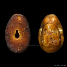 หลวงพ่อปาน คลองด่าน