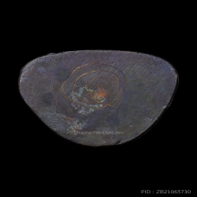 รูปหล่อจารก้นยันต์ก้อหญ้า รุ่นแรก ปี42 หลวงปู่หมุนวัดบ้านจาน