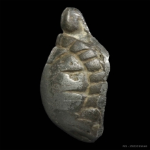 พญาเต่าเรือน หลวงปู่ศุข วัดปากคลองมะขามเฒ่า