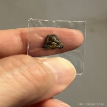 พระปิดตาข้าวสารดำ พิมพ์กรมหลวงชุมพรหลวงพ่อเอีย วัดบ้านด่าน