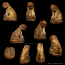 เสือหลวงพ่อปาน วัดคลองด่าน จ.สมุทรปราการ