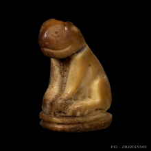 เสือหลวงพ่อปาน วัดคลองด่าน จ.สมุทรปราการ