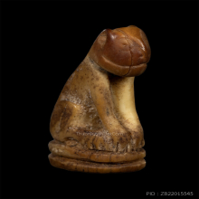 เสือหลวงพ่อปาน วัดคลองด่าน จ.สมุทรปราการ