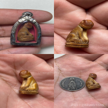 เสือหลวงพ่อปาน วัดคลองด่าน จ.สมุทรปราการ