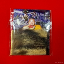 ตะกรุดหนังเสือสมิงพยัคฆ์คำรณ หลวงพ่ออั้น อภิปาโล