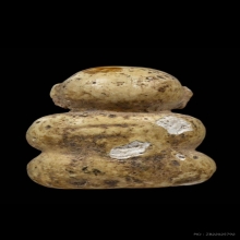 พระปิดตา รุ่นแรก หลวงพ่อคูณ พิมพ์ใหญ่ ปี2529