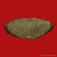 พระชัยไพรีพินาศ วัดบวรนิเวศ ปี 2495