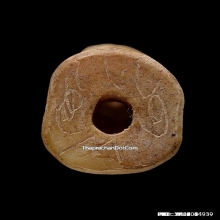 เสือกระดูกแกะหลวงพ่อเรือน วัดบางเหี้ย จ.สมุทรปราการ