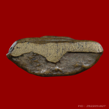 พระสังกัจจายน์หลวงพ่อดิษฐ์ วัดปากสระ จ.พัทลุง