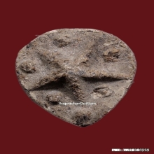 ดาวแม่เนื้อหอม หลวงพ่อผินะ วัดสนมลาว จ.สระบุรี