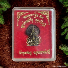 พระนาคปรก หลวงปู่คำบุ วัดกุดชมพู ปี 2553