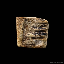 ชิ้นส่วนพระสมเด็จบางขุนพรหม พิมพ์ฐานแซมกรุเก่า มีบัตร2สถาบัน