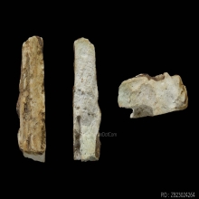 ชิ้นส่วนพระสมเด็จบางขุนพรหม พิมพ์อกครุฑกลางกรุใหม่ บัตรสมาคม