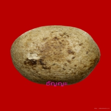 ลูกอมมหากัน หลวงพ่อคง วัดบางกะพ้อม