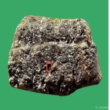 เนื้อว่านหลวงปู่ทวดรุ่นแรก