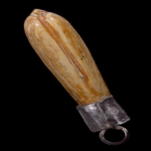 ดอกจำปีหลวงพ่อสด วัดปากน้ำ ภาษีเจริญ