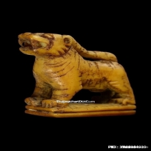 เสือหลวงปู่ยิ้ม วัดหนองบัว จ.กาญจนบุรี