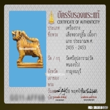 เสือหลวงปู่ยิ้ม วัดหนองบัว จ.กาญจนบุรี