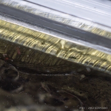 หลวงพ่อไปล่ วัดกำแพงวัดกำแพง