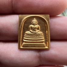 พระเนื้อทองคำ