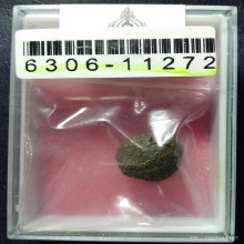 เม็ดประคำ พราย 59 ตน อาจารย์เปล่ง(อ.เปล่ง) บุญยืน