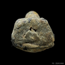 หลวงปู่ทวด​ รุ่นสร้างกำแพง​ วัดนาประดู่​​ ปี​ 2505 สวยแชมป์