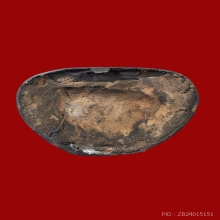 พระสังกัจจายน์ลาภผลพูนทวี วัดนางพญา ปี 2514