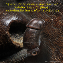 “ปลัดขิก” (ก้นลูกแก้ว) หลวงพ่อเหลือ วัดสาวชะโงก จ.ฉะเชิงเทรา