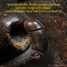 “ปลัดขิก” (ก้นลูกแก้ว) หลวงพ่อเหลือ วัดสาวชะโงก จ.ฉะเชิงเทรา