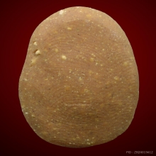 พระผงมีกิน พิมพ์กลีบบัว พิธีจตุรพิธพรชัย ปี 2518