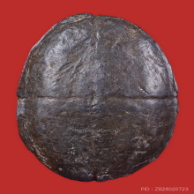 ๙ “ปฐมบทวัดกลาง+ตัวจริง” เบี้ยแก้หลวงปู่บุญ วัดกลางบางแก้ว ๙