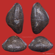 ๙ “ปฐมบทวัดกลาง+ตัวจริง” เบี้ยแก้หลวงปู่บุญ วัดกลางบางแก้ว ๙