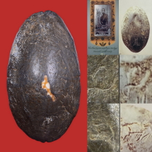 ๙ “ปฐมบทวัดกลาง+ตัวจริง” เบี้ยแก้หลวงปู่บุญ วัดกลางบางแก้ว ๙