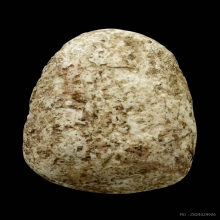 พระวัดพลับพิมพ์พุงป่องใหญ่