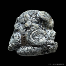 พระปิดตา พ่อท่านแก่น พิมพ์ 4อุ  องค์แชมป์