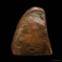 พระผงสุพรรณพิมพ์หน้าหนุ่ม