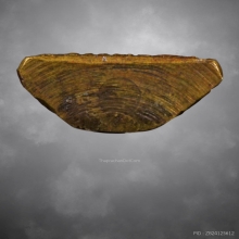 รูปหล่อปั้มรุ่นแรกหลวงพ่อมุม วัดปราสาทเยอร์ ปี14