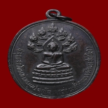 เหรียญนาคปรกจเรเจ้าคุณนรฯ วัดเทพศิรินทร์