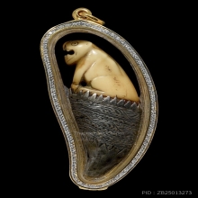 เสือหลวงพ่อนก วัดสังกะสี จ.สมุทรปราการ