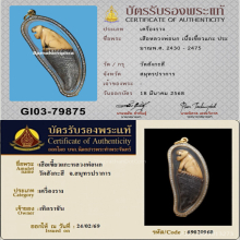 เสือหลวงพ่อนก วัดสังกะสี จ.สมุทรปราการ