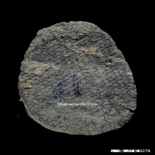 พระพิจิตรเม็ดข้าวเม่า พิมพ์แขนกลม สภาพสวยแชมป์